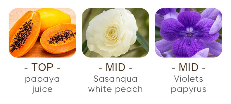 Papaya Essence Upper Body Cream
